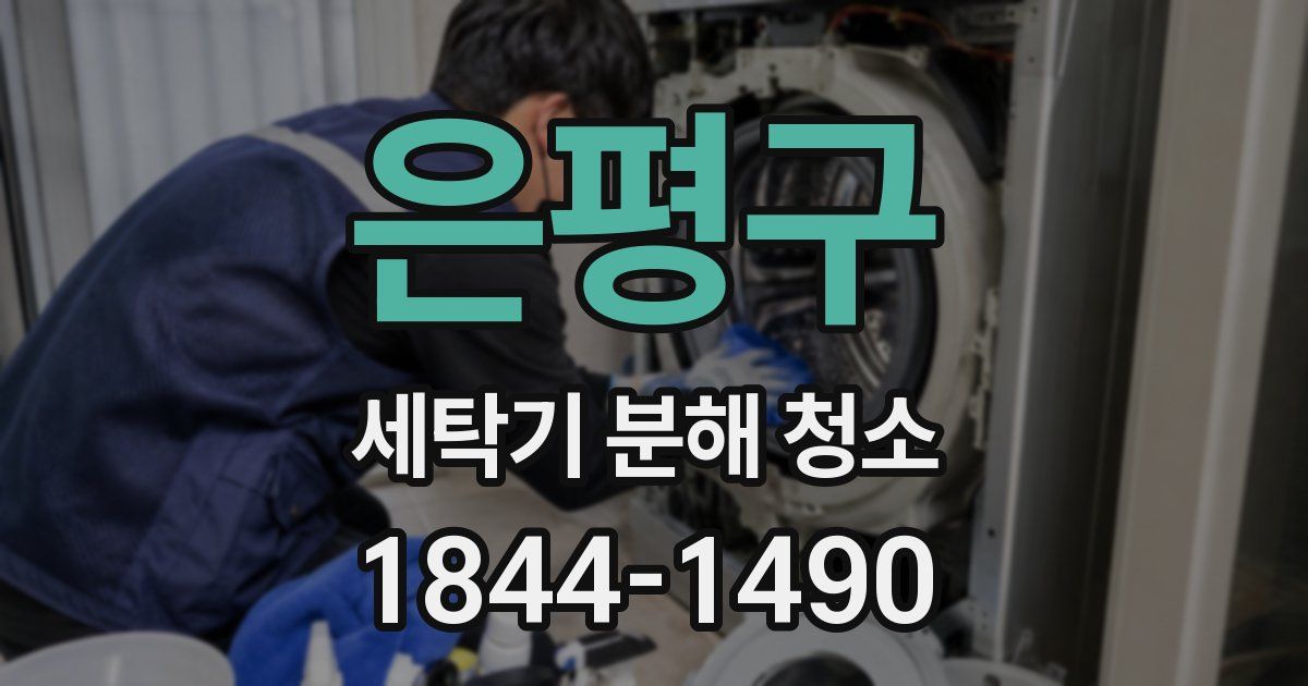 은평구 세탁기 분해 청소