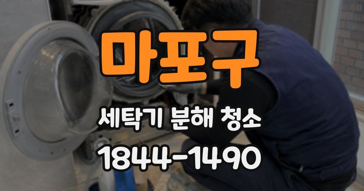마포구 세탁기 분해 청소