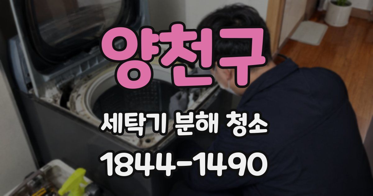 양천구 세탁기 분해 청소