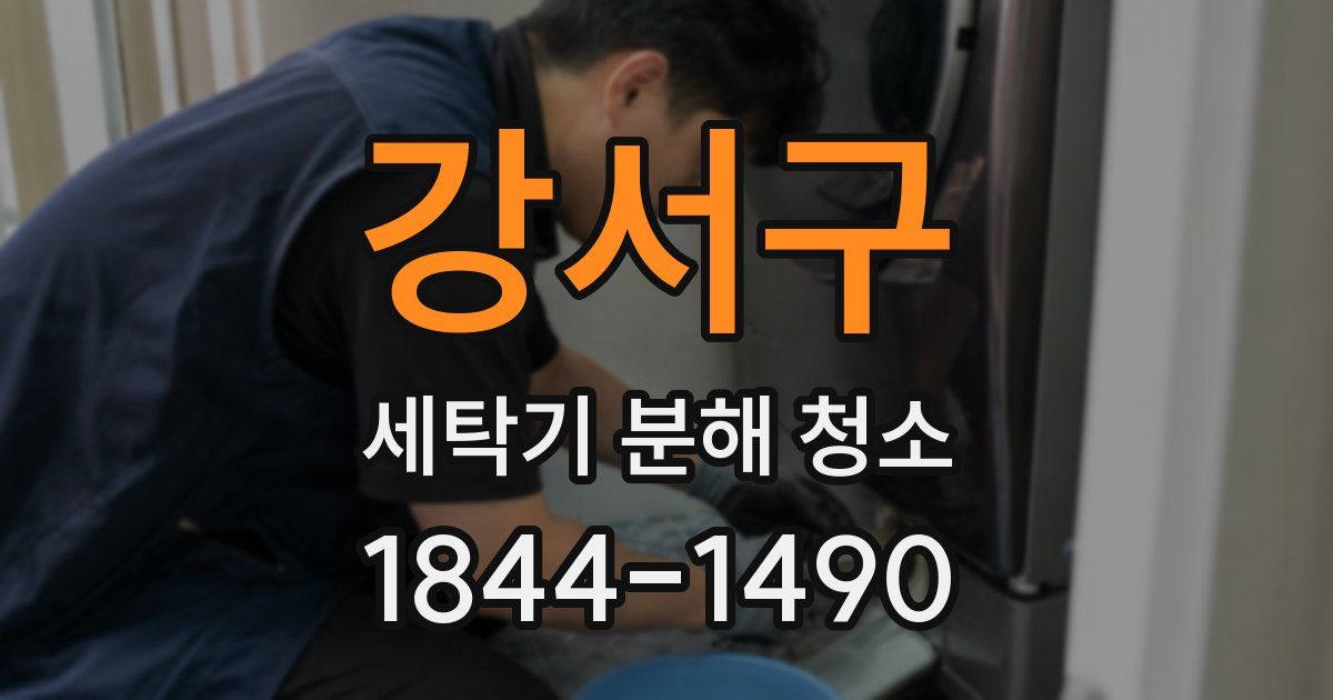 강서구 세탁기 분해 청소