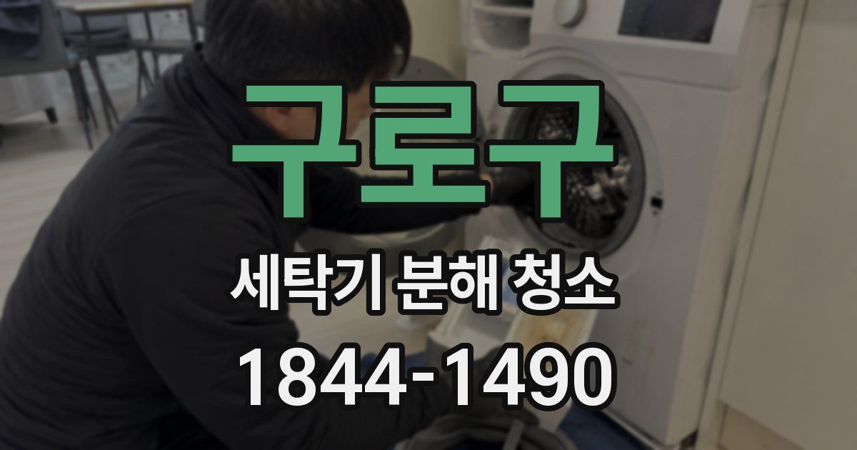 구로구 세탁기 분해 청소