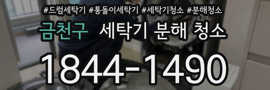 금천구 세탁기 분해 청소