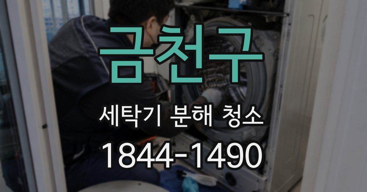 금천구 세탁기 분해 청소