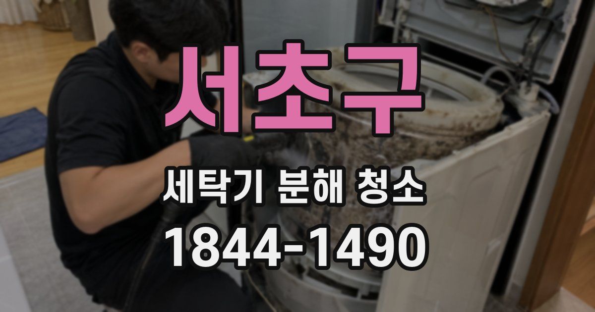 서초구 세탁기 분해 청소