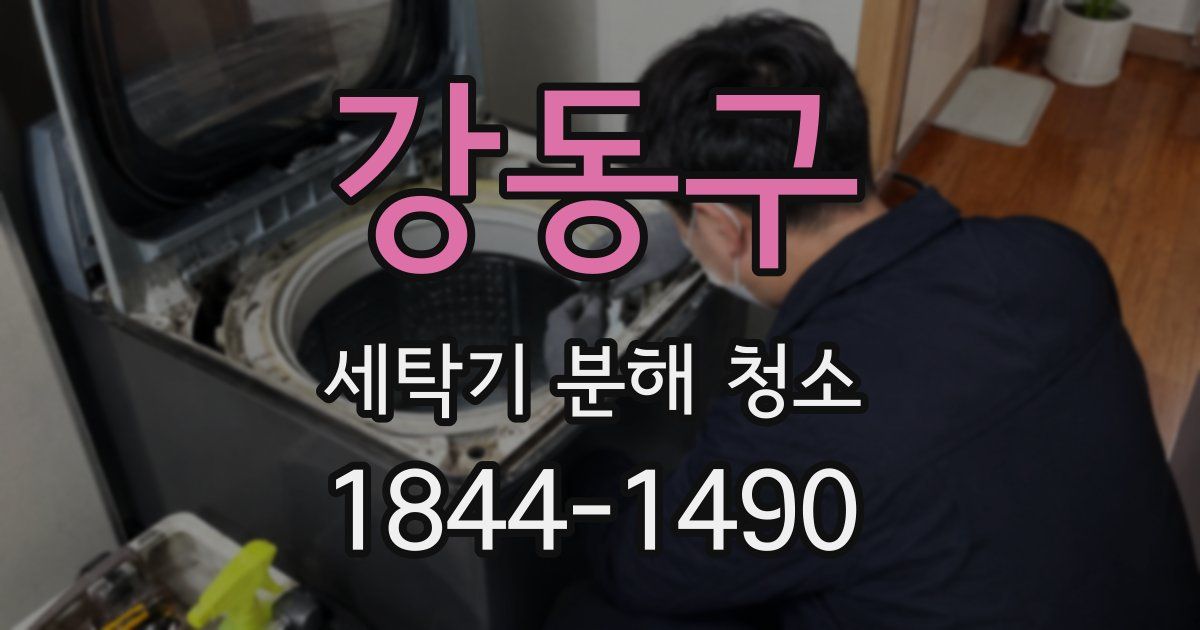 강동구 세탁기 분해 청소