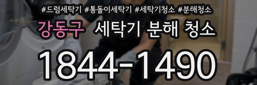 강동구 세탁기 분해 청소