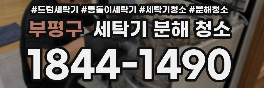 부평구 세탁기 분해 청소