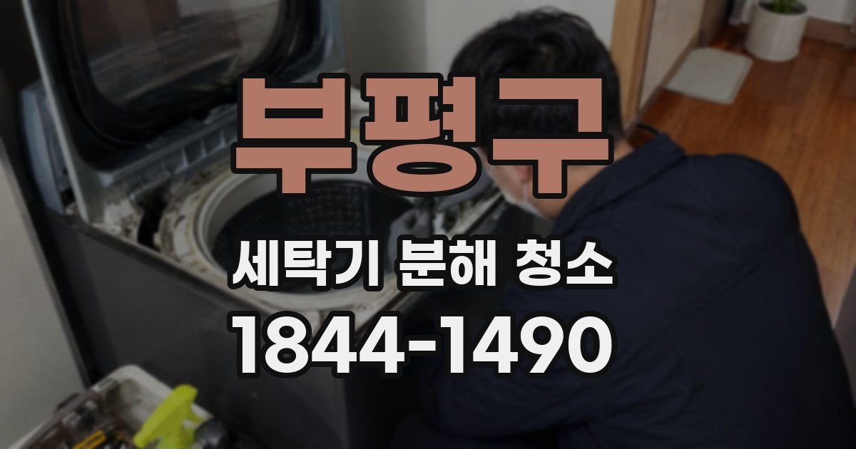 부평구 세탁기 분해 청소