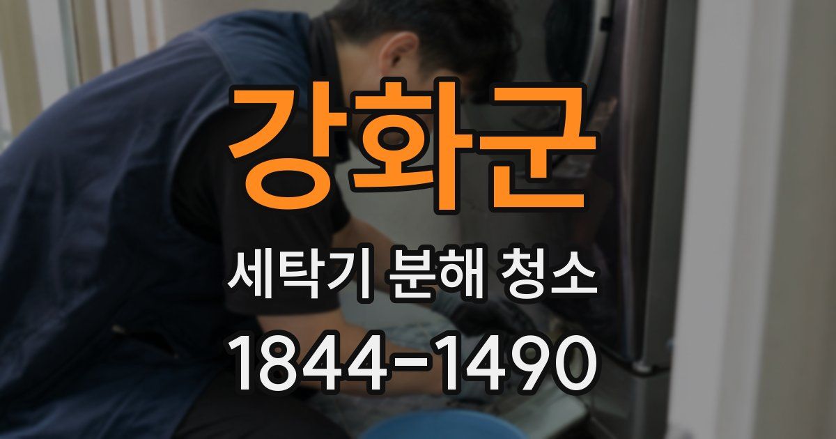 강화군 세탁기 분해 청소