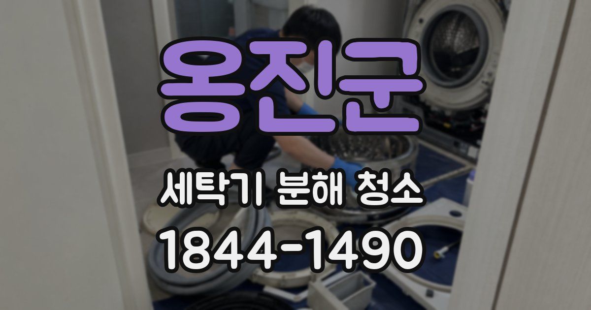 옹진군 세탁기 분해 청소