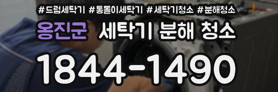 옹진군 세탁기 분해 청소