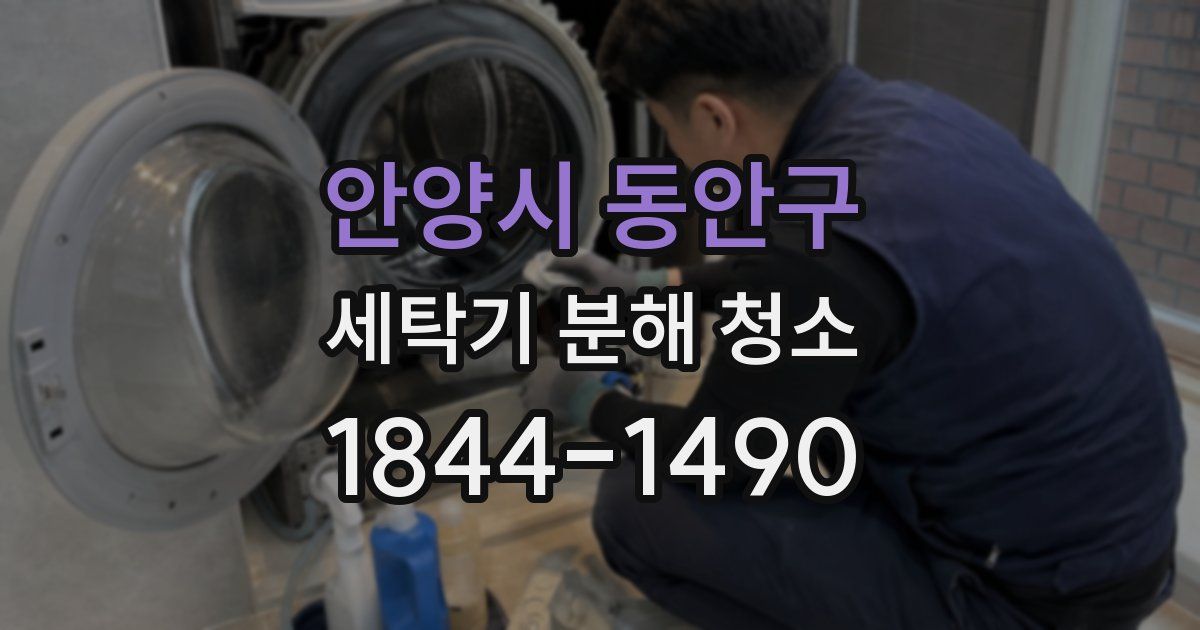 안양시 동안구 세탁기 분해 청소