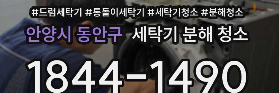 안양시 동안구 세탁기 분해 청소