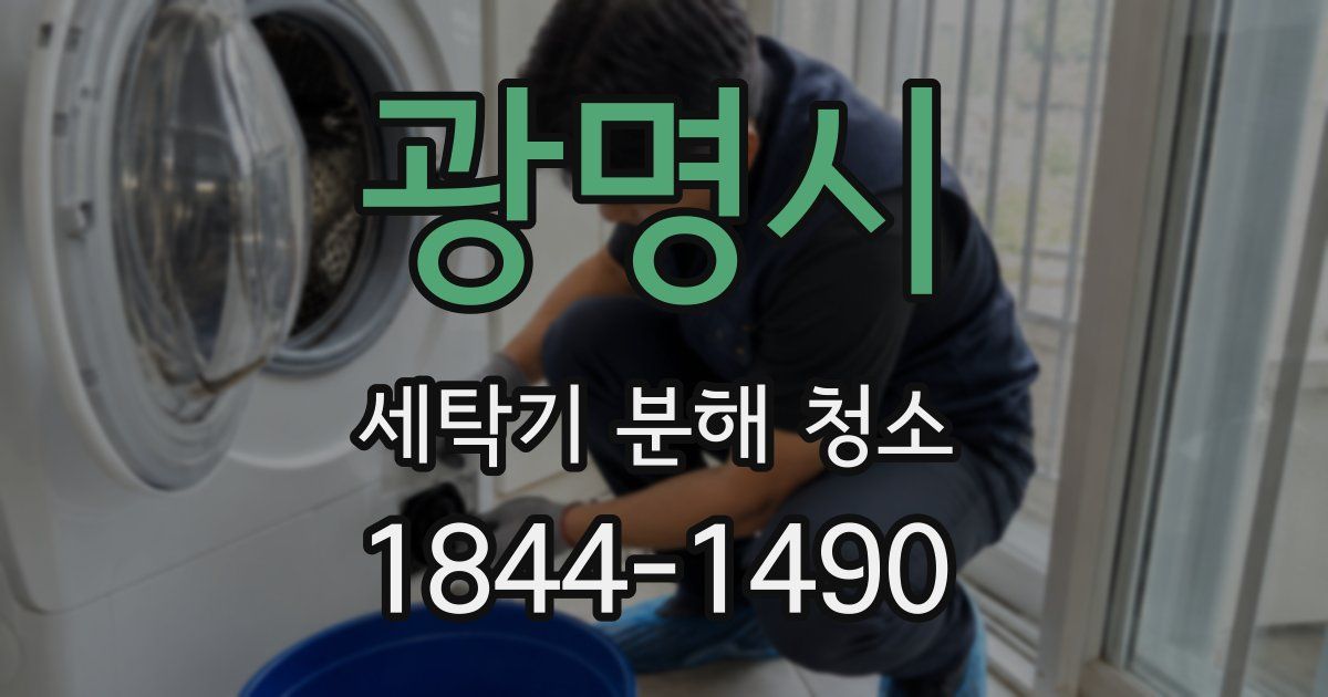 광명시 세탁기 분해 청소