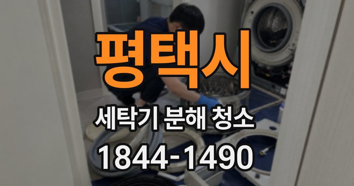 평택시 세탁기 분해 청소