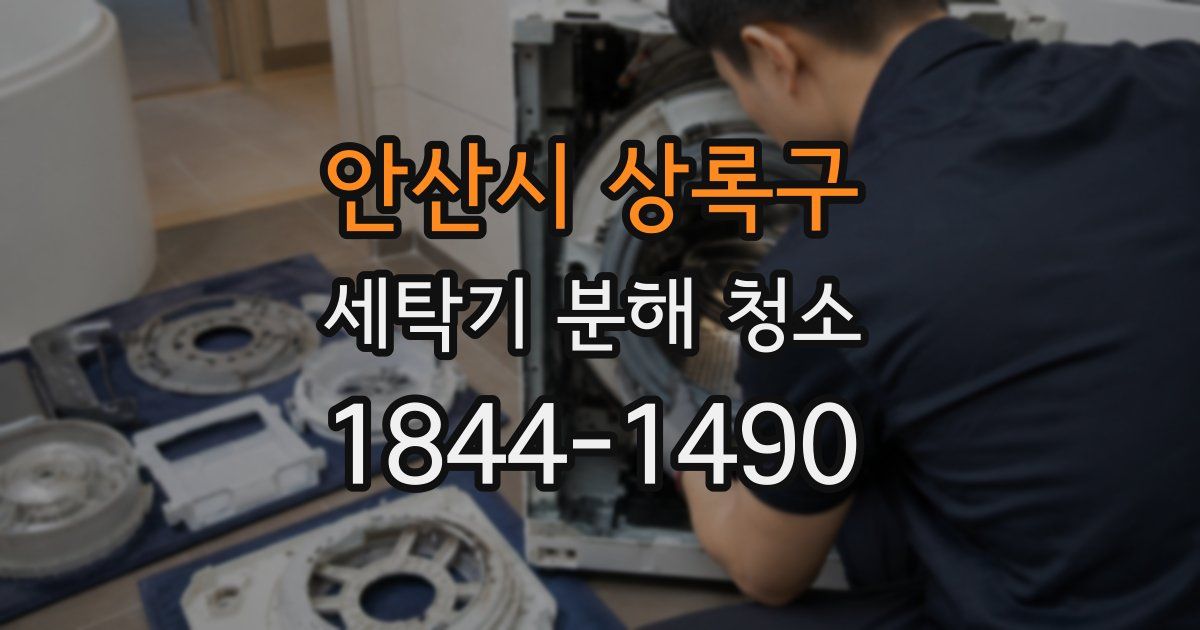 안산시 상록구 세탁기 분해 청소