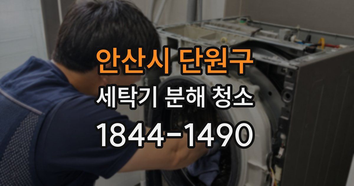 안산시 단원구 세탁기 분해 청소