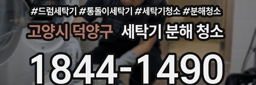 고양시 덕양구 세탁기 분해 청소