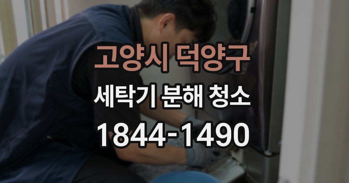 고양시 덕양구 세탁기 분해 청소