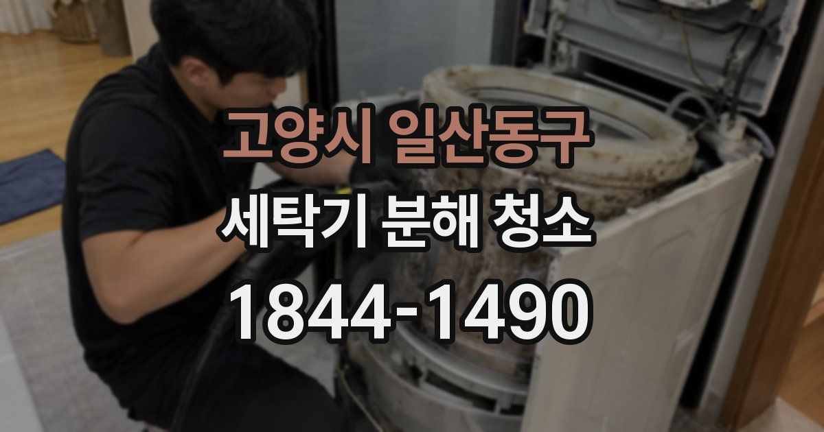 고양시 일산동구 세탁기 분해 청소