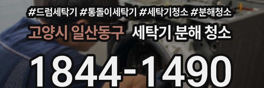 고양시 일산동구 세탁기 분해 청소