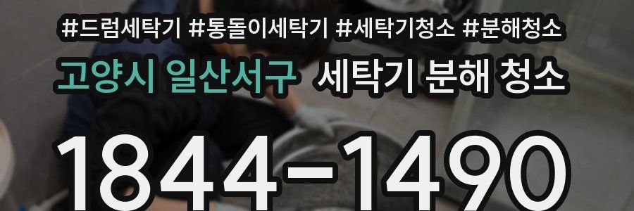 고양시 일산서구 세탁기 분해 청소