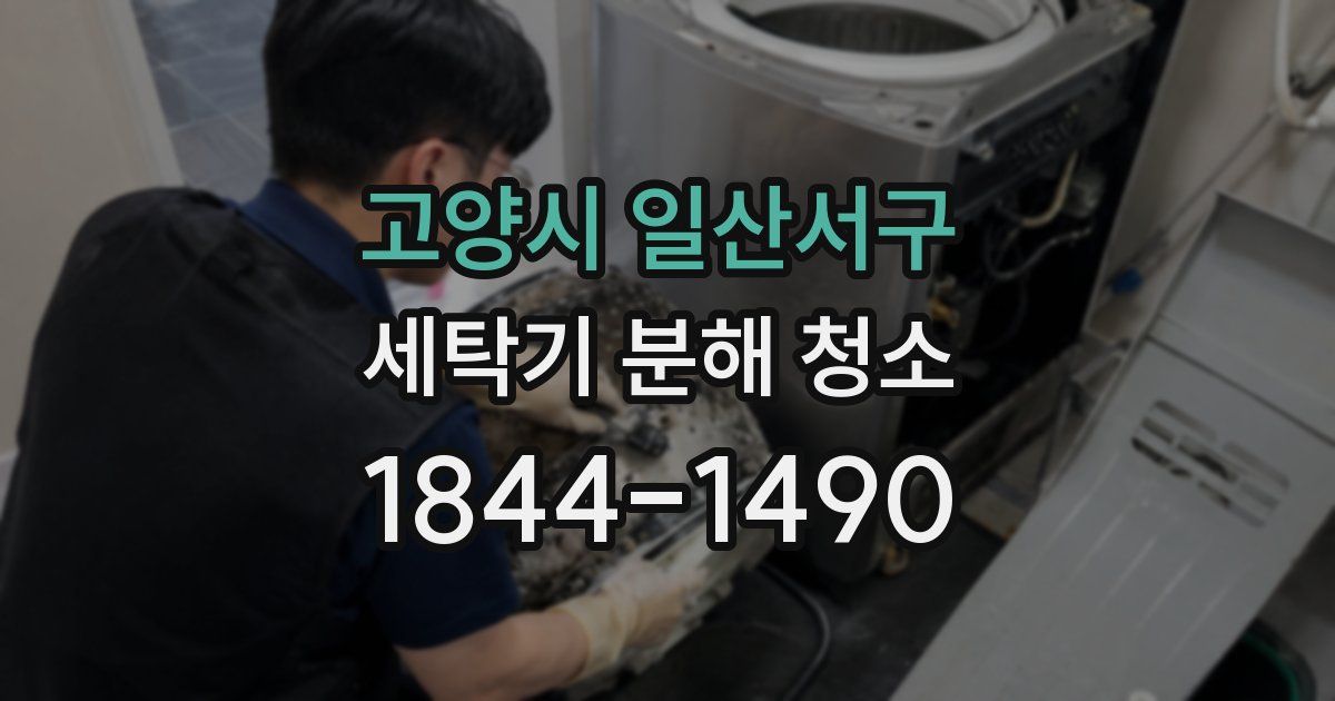 고양시 일산서구 세탁기 분해 청소