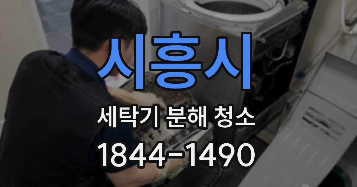 시흥시 세탁기 분해 청소
