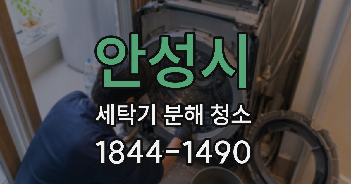 안성시 세탁기 분해 청소