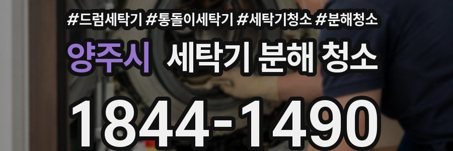 양주시 세탁기 분해 청소