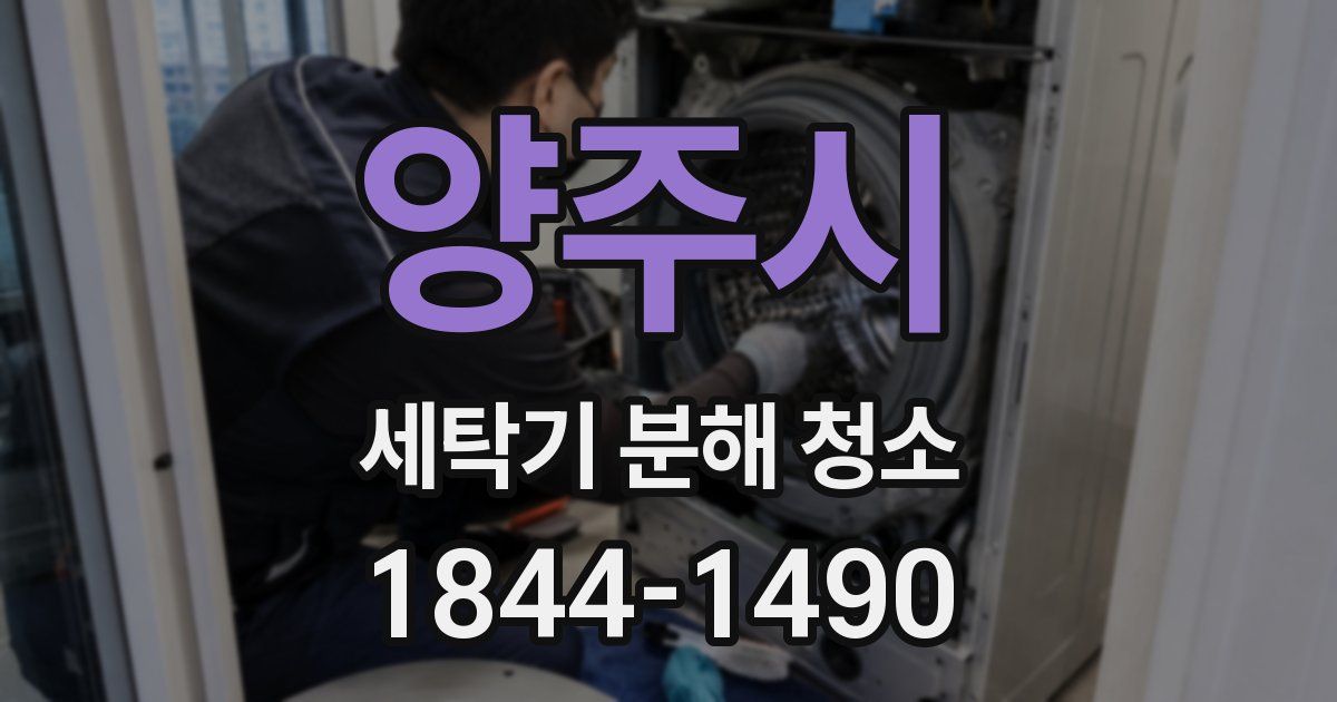 양주시 세탁기 분해 청소