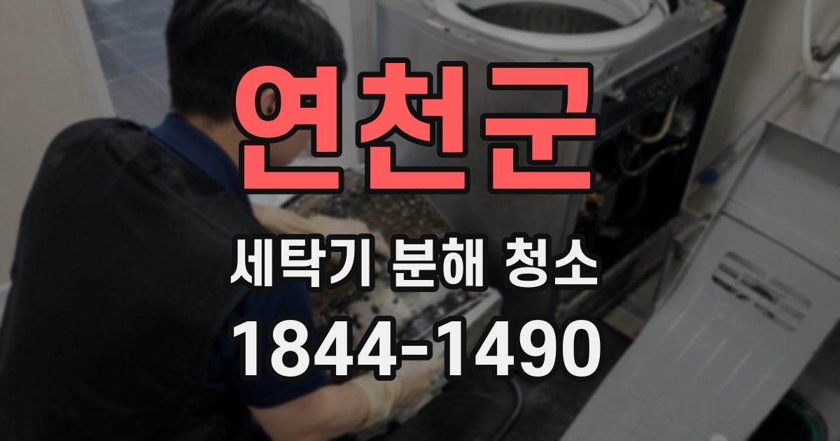 연천군 세탁기 분해 청소