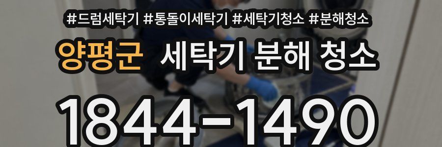 양평군 세탁기 분해 청소