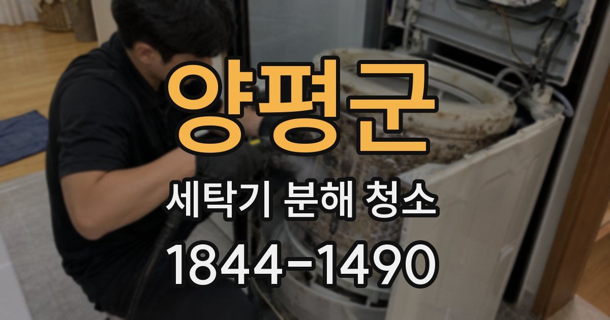 양평군 세탁기 분해 청소