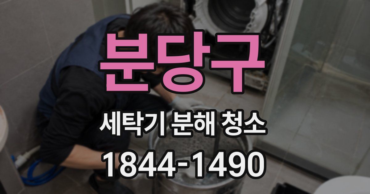 분당구 세탁기 분해 청소