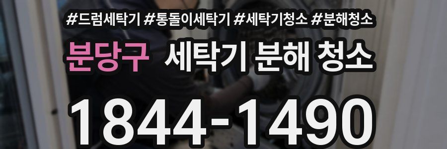 분당구 세탁기 분해 청소