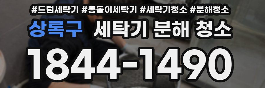 상록구 세탁기 분해 청소