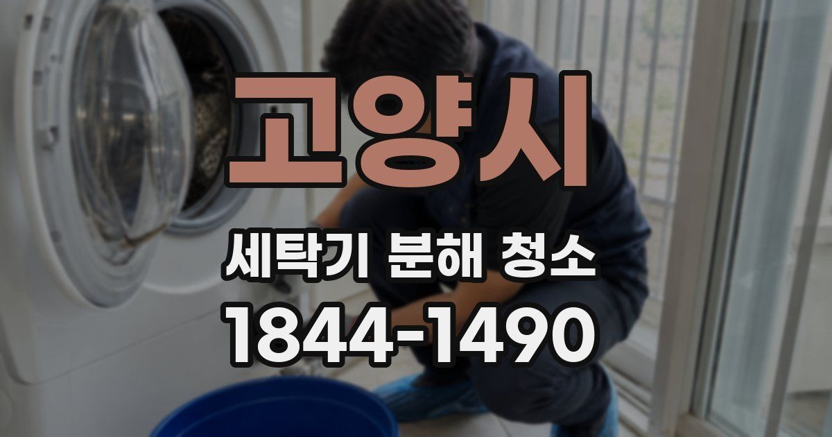 고양시 세탁기 분해 청소