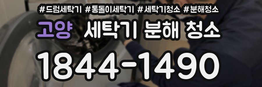 고양 세탁기 분해 청소