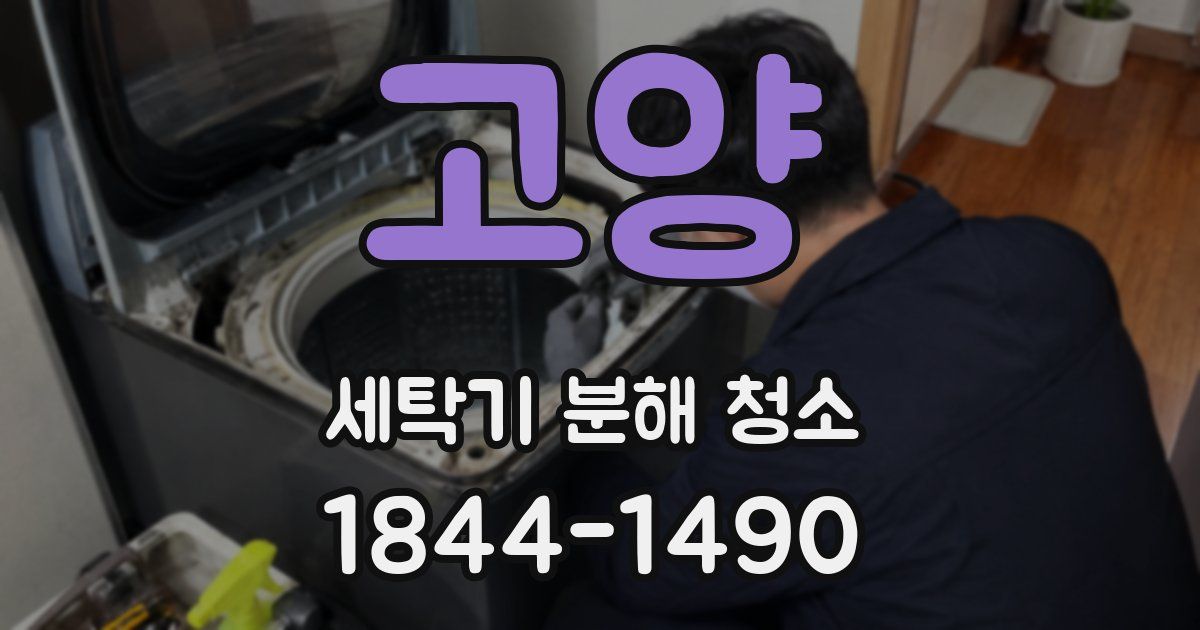 고양 세탁기 분해 청소