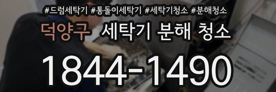 덕양구 세탁기 분해 청소