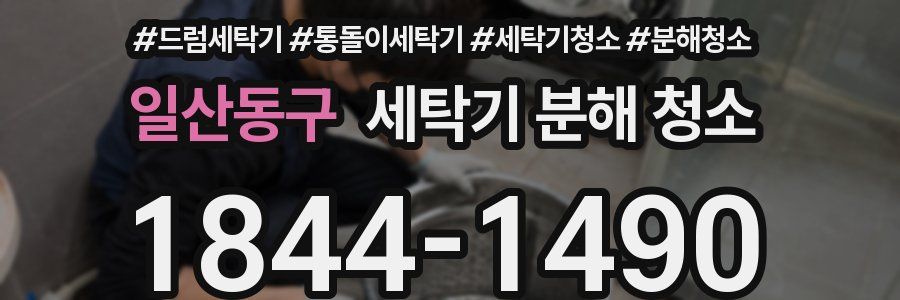 일산동구 세탁기 분해 청소