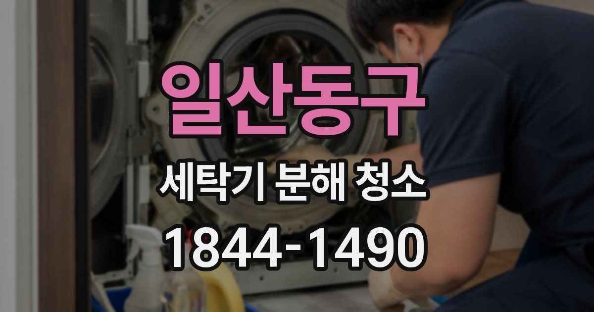 일산동구 세탁기 분해 청소