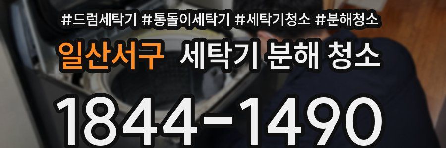 일산서구 세탁기 분해 청소