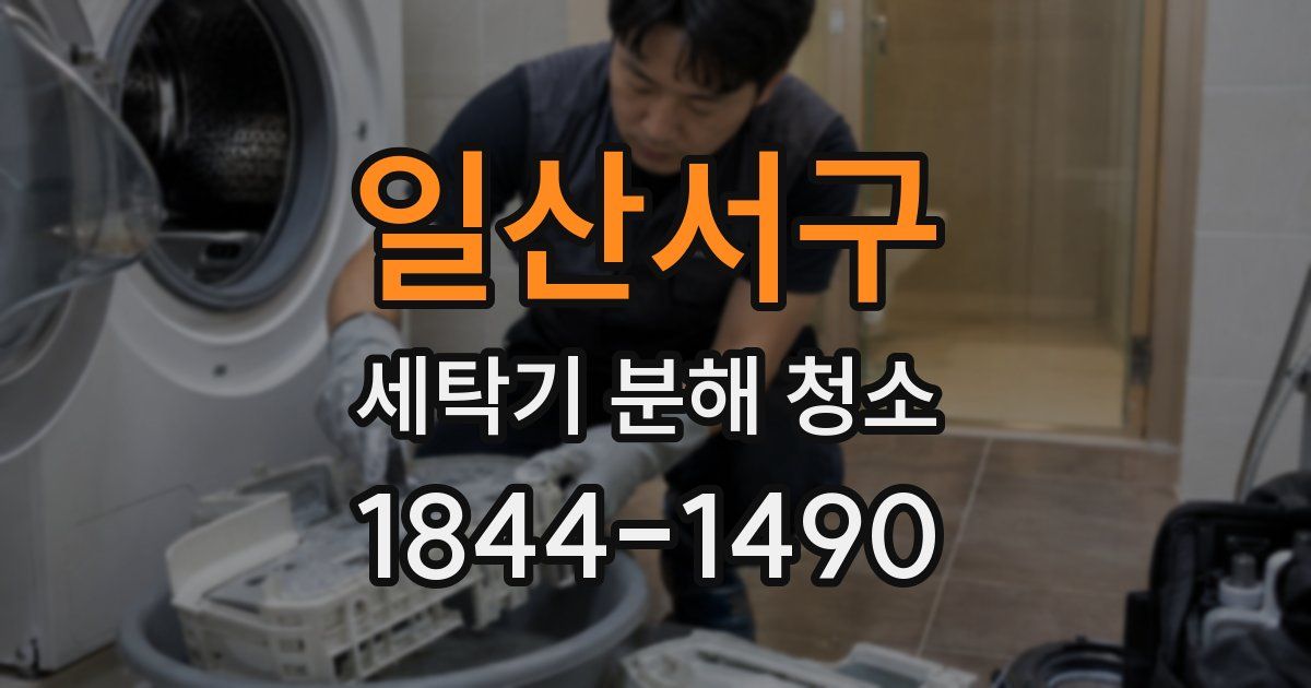 일산서구 세탁기 분해 청소