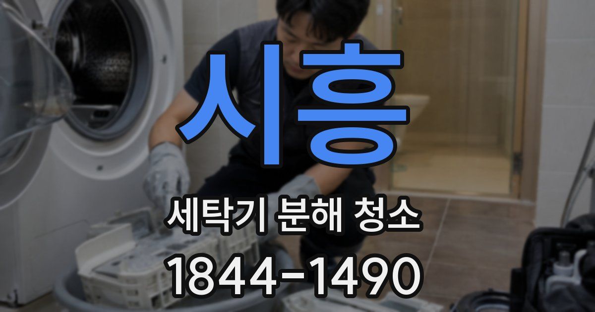 시흥 세탁기 분해 청소