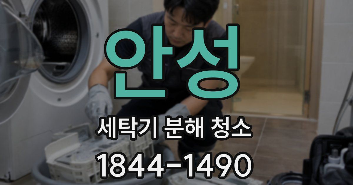 안성 세탁기 분해 청소