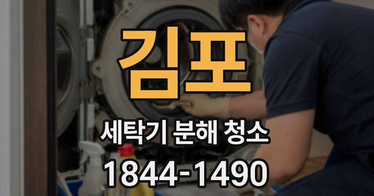 김포 세탁기 분해 청소