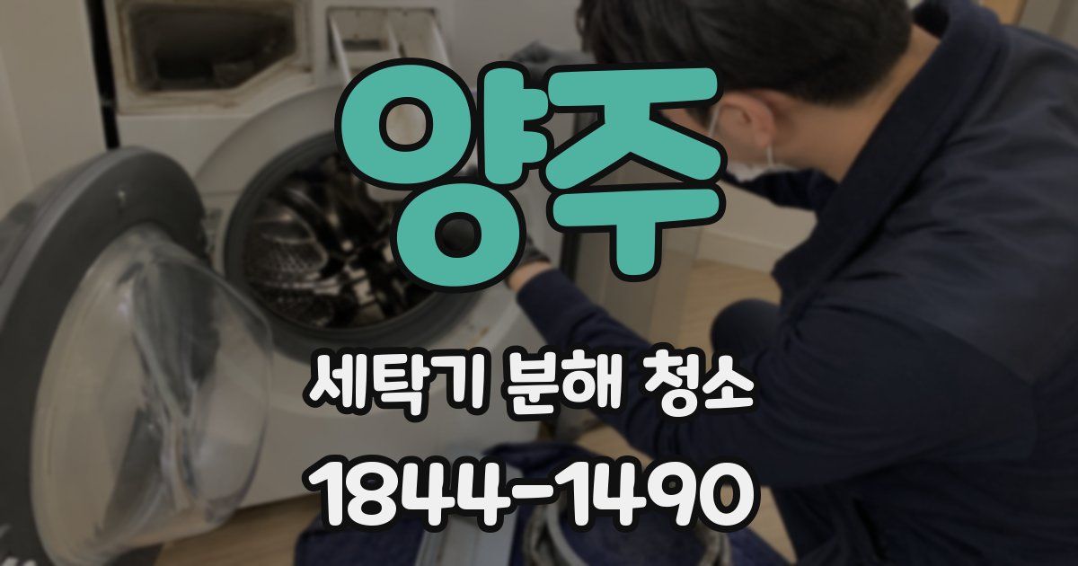양주 세탁기 분해 청소