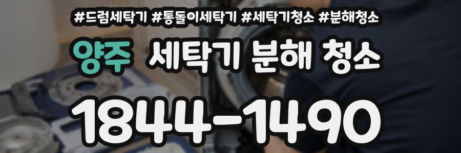 양주 세탁기 분해 청소